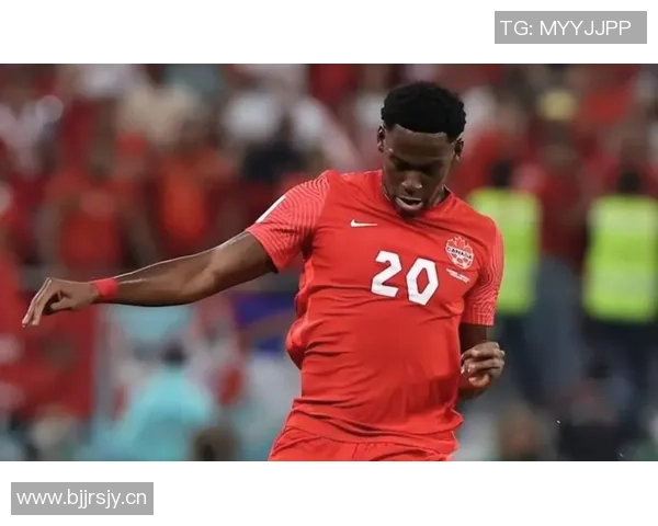 博洛尼亚明年2月买断波贝加米兰将获700万欧元补偿